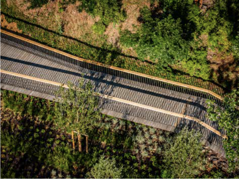 Carta – Reichen et Robert - 17097SJC