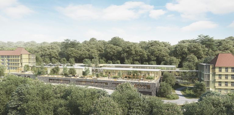 Carta – Reichen et Robert - CARRA_25070HFL_PERSPECTIVE-SUD-WEB.jpg