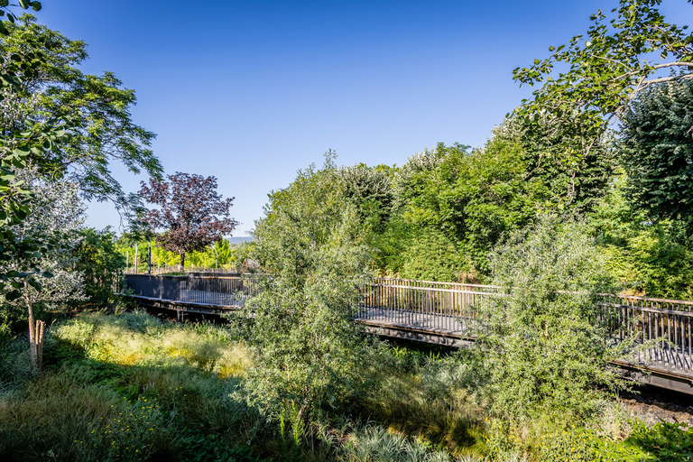 Carta – Reichen et Robert - La-passerelle-franchissant-la-zone-humide_web.jpg