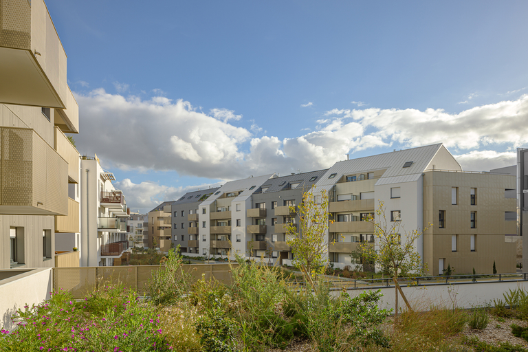 Carta – Reichen et Robert - Docks de la Mitrie Sud