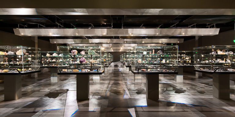 Baaum - Campus de Jussieu