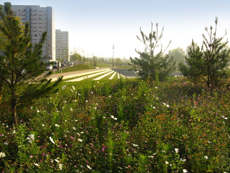 Baaum - Grand Projet de Ville